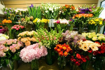 fleurs à vendre